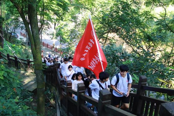 声生不息：歌手流量排名与个人魅力